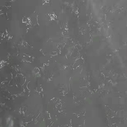 ����ϵ��